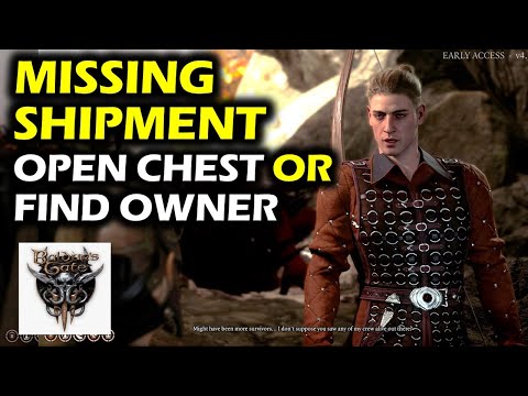 Find The Missing Shipment: Find Owner or Open The Chest | Side Quest | Baldur's Gate 3 Walkthrough