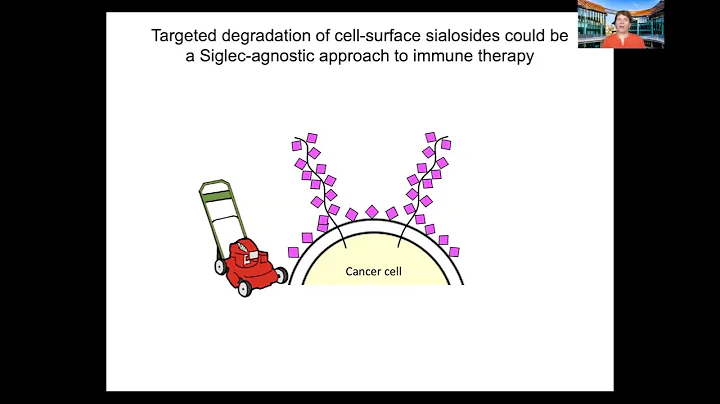 Carolyn Bertozzi: Therapeutic Opportunities in Gly...