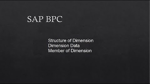 SAP BPC || 5. Structure of Dimension || Member of Dimension || Dimension Data