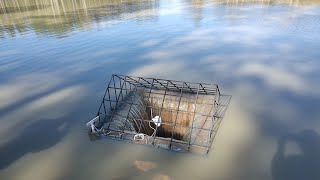 5 Inches Of Rain Floods The 5 Acre Pond And My Farm