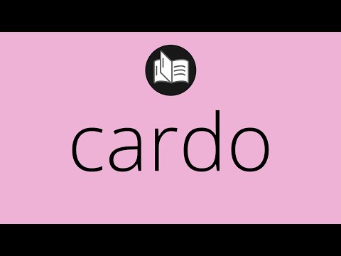 Que significa CARDO • cardo SIGNIFICADO • cardo DEFINICIÓN • Que es CARDO • Significado de CARDO