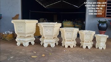 BÁO GIÁ KHUÔN CHẬU MỚI NHẤT 2025: CÁC MẪU LỤC GIÁC DÁNG CAO 30CM ĐẾN 70CM