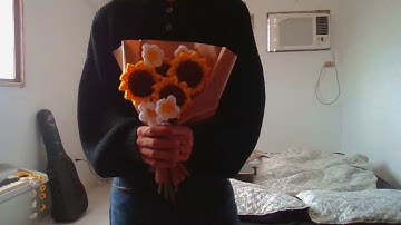 solamentedan, Mangus - Flores Amarillas