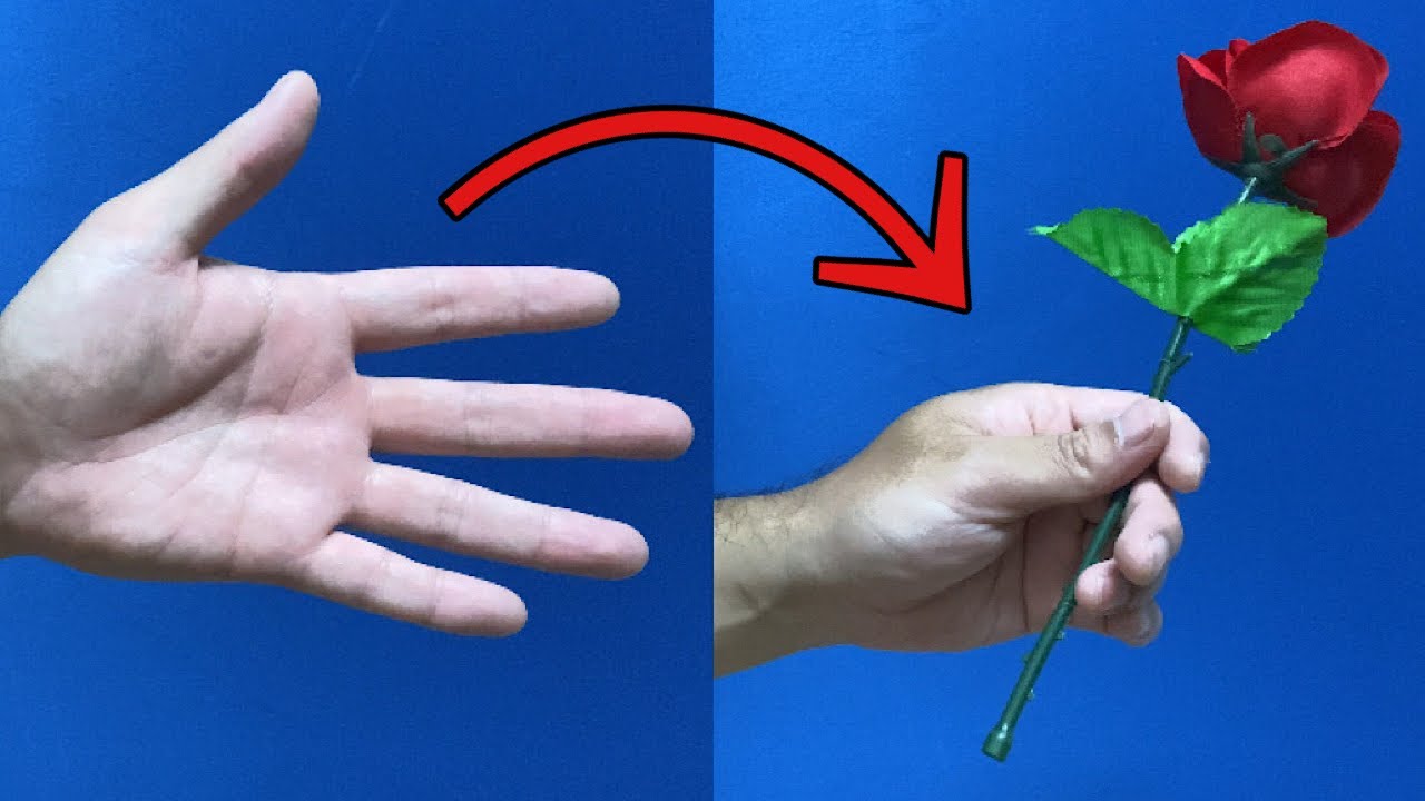 種明かし 手からぱっと花が出る アピアリング ローズ 手品 マジック Appearing Rose Magic Trick Revealed Japanese Explanation Youtube