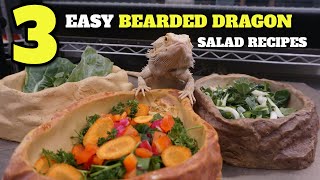 3 Easy Bearded Dragon Salad Recipe Ideas