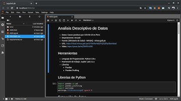 Análisis Descriptivo de Datos con Python y Pandas