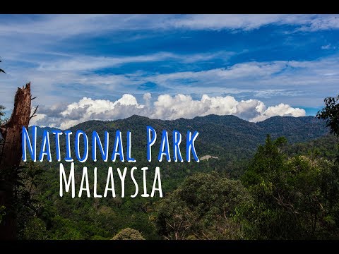 Video: Mga National Park at Nature Reserve ng Malaysia