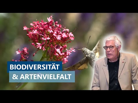Biodiversität und Artenvielfalt: Bedrohung und Bedeutung – Vortrag von Prof. Dr. Johannes Steidle