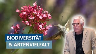 Biodiversität und Artenvielfalt: Bedrohung und Bedeutung - Vortrag von Prof. Dr. Johannes Steidle