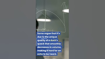 Ducks Never Echo: A Quacking Phenomenon