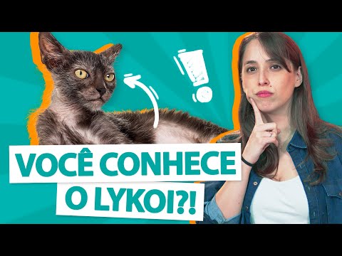 Vídeo: Raça De Gats Lykoi Hipoalergènics, De Salut I De Vida