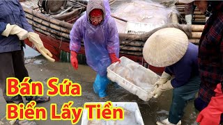 Cùng Ngư Dân Đi Ra Biển Bắt Sứa Biển • Biển Sầm Sơn Thanh Hóa