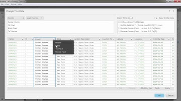 Wrangling Your Data in MicroStrategy 10