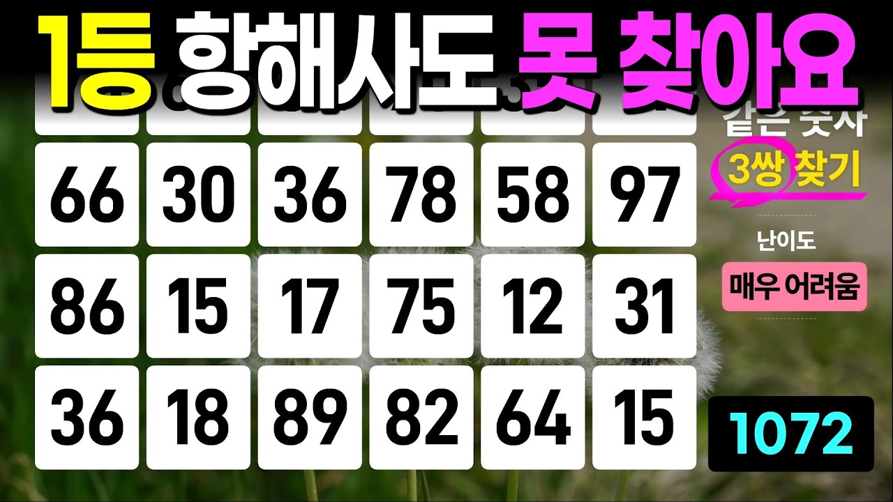 1등 항해사도 못 찾아요 - 같은숫자찾기, 치매예방퀴즈, 치매예방활동, 숫자퀴즈, 숫자찾기, 단어퀴즈, 치매테스트