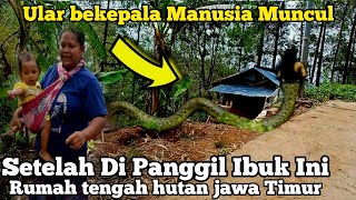 Viral..! ibuk ini Memanggil Suluman Ular Berkepala Manusia ngajak Berbicara dalam rumah Tengah Hutan