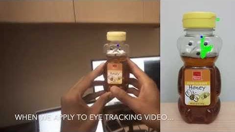 Pearson Lab - Eye Tracking Demo