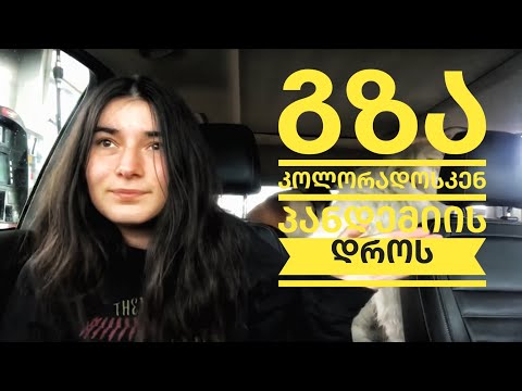 2 დღიანი მგზავრობა კოლორადოსკენ/ ვტოვებ აიდაჰოს