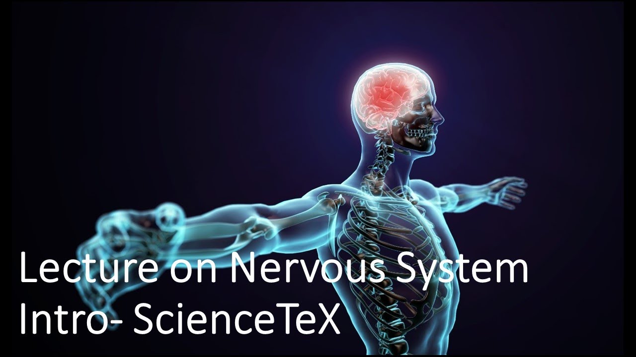 Lecture on Intro Into Nervous System- Easy For Kids & AP Biology - YouTube