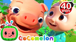 One Potato, Two Potatoes 40 MIN COMPILATION | Animal Time | CoComelon Nursery Rhymes \& Kids Songs