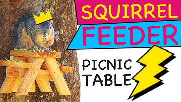 How to Build a Picnic Table Squirrel Feeder  🥜🐿 A Squirrel Feeder That Looks Like a Picnic Table
