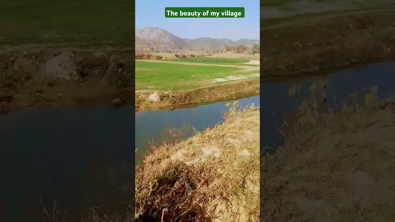 The beauty of my village # short # green fields # mountain # river # streams # Love nature🏕