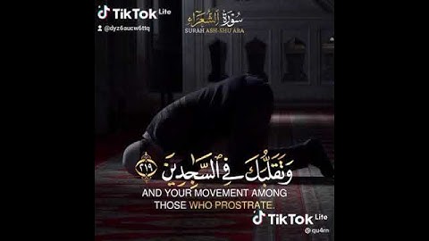 ﴿وَتَوَكَّلْ عَلَى الْعَزِيزِ الرَّحِيمِ﴾ القارئ الشيخ وديع اليمني حفظه الله ورعاه 🌺❤️