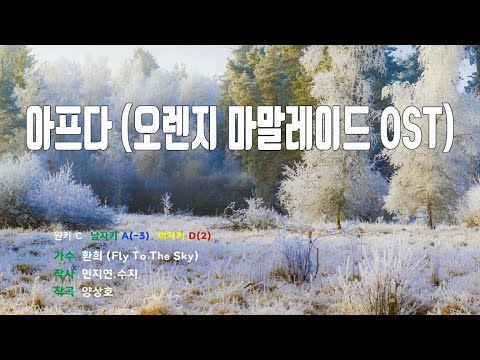 [은성 반주기] 아프다(오렌지마말레이드OST) - 환희(Fly To The Sky)