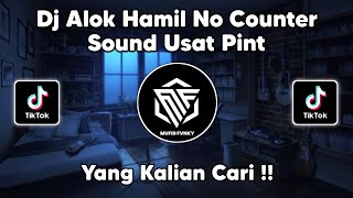 DJ ALOK HAMIL NO COUNTER SOUND USAT PINT VIRAL TIK TOK TERBARU 2022 !