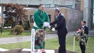 白鵬 「母国の果実知って」 「シーベリー」量産化で協力約束