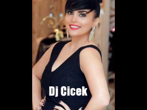 Dj Cicek - Sen bezmisen bizden,menise oyreshmishem