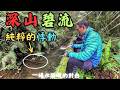 絕對不能說的秘境！深入荒野山溪尋找「失落的原生魚」，這畫面太療癒了...（請帶走垃圾留下美麗）｜Maxcatch｜永裕｜勇作｜小物釣｜生態調查｜#fishing #fishinglife #推薦 thumbnail