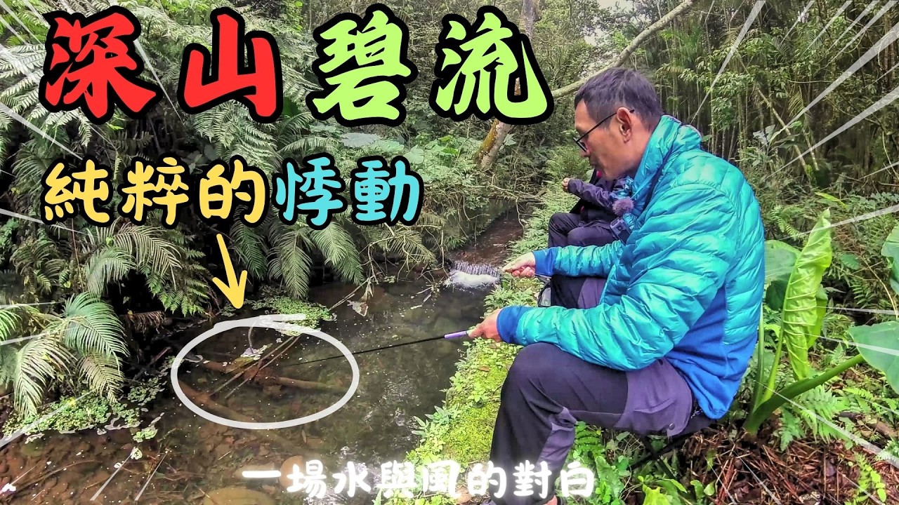 絕對不能說的秘境！深入荒野山溪尋找「失落的原生魚」，這畫面太療癒了...（請帶走垃圾留下美麗）｜Maxcatch｜永裕｜勇作｜小物釣｜生態調查｜