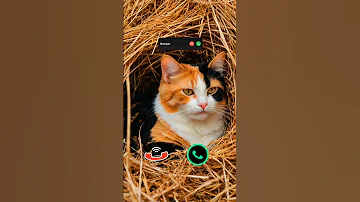 Call Funnycallringto Iphoneringtone Iphone Irringtone Mobilephoneringtone Callm Mobilering 
