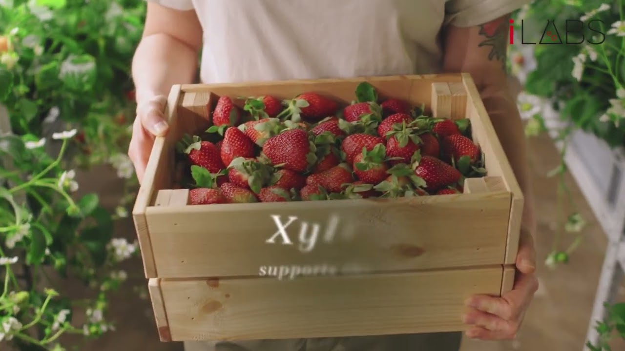 [MUNY 2023] Green Power Powder