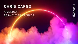 Premiere: Chris Cargo - Synergy (Framewerk Remix)