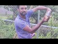 Unbelievable Fishing Adventures in Unexpected Places! #taritofisherman #fishing