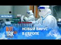 Насколько опасна оспа обезьян? Доктор медицинских наук Василий Власов о том, ждать ли новой пандемии