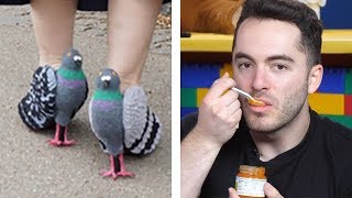 High Stakes Guess the Subreddit Challenge