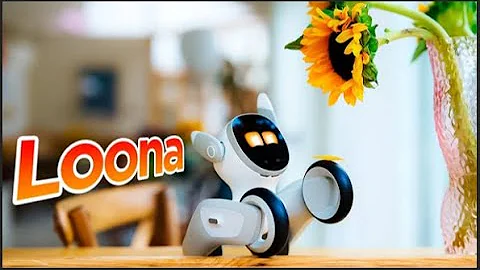 Loona: The Most Advanced Smart Robot Pet Dog, What can Loona do?