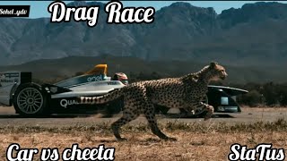 Drag Race || formula Car Vs Cheetah || WhatsApp status Video
