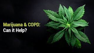 Treating Emphysema / COPD with Cannabis