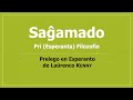 Saĝamado (Esperanta Filozofio) – Prelego en Esperanto de Laŭrenco Kenny
