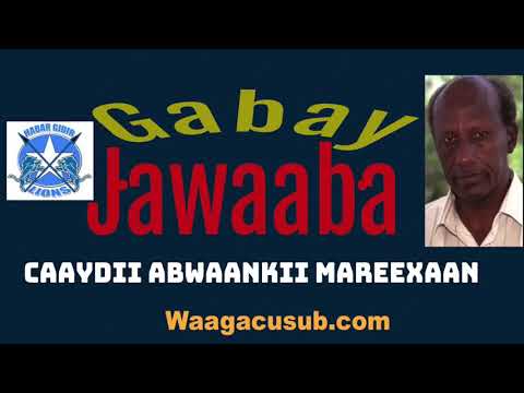 Jawaabtii Gabaygii Cayda Ahaa Ee Abwaankii Mareexaan Ee H Gidir Uga Jawaabtay