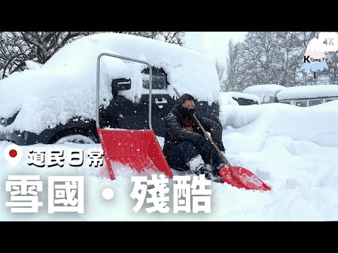 雪國‧殘酷日常🌨️|1月初北海道連下超多天暴風雪|道民除雪日記 Heavy Snow in Hokkaido