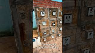 Cemitrio Pet Particular No Piau