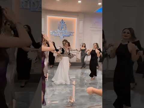 Mast Afghan Roya Dance Performance 