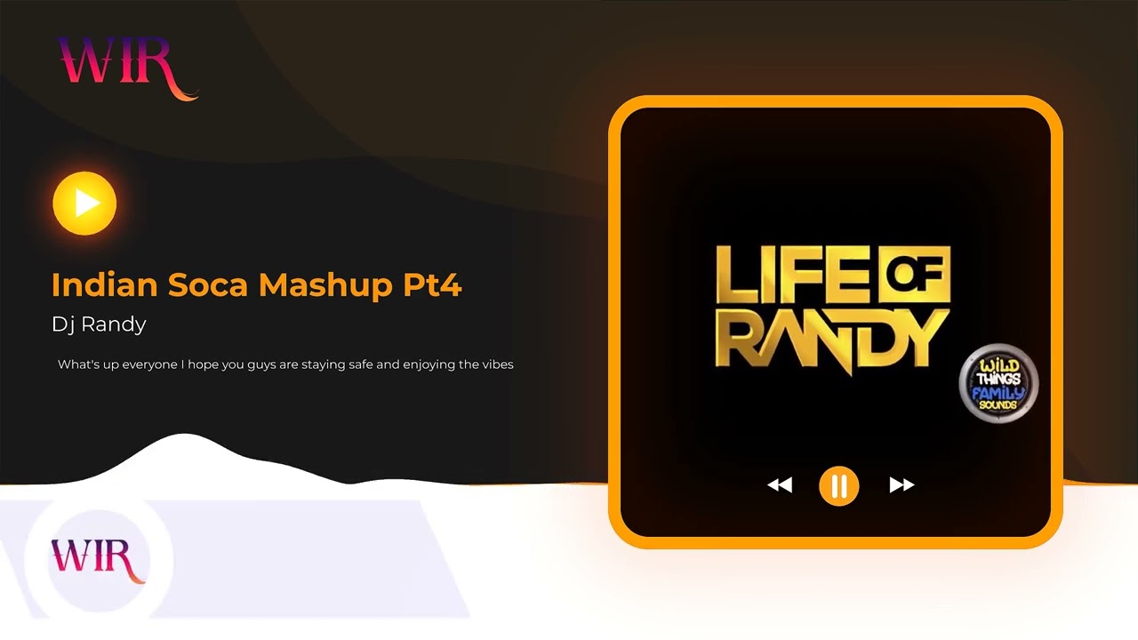 Indian Soca Mashup Pt4 - Dj Randy