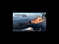 Φαγγρι πρωινό TAKAMITECHNOS MOZ622hm 65m #jigging #mancing #ψάρεμα #spj #fishinglife #shimano #jig