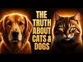 Pets & Miracles: You Must Know This If You Have A Cat Or Dog