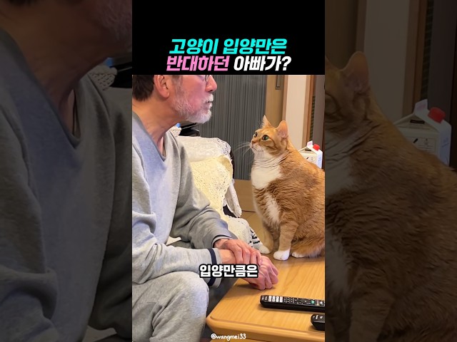 고양이 입양을 반대하던 아빠가?